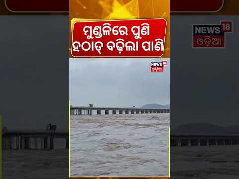 ବନ୍ୟା ଅପଡେଟ୍ | Massive Flood Water Rises Rapidly In Mundali | Odisha Flood | Mundali Flood News