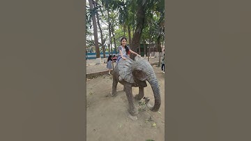 Slide Fun! Maddie & Kaden Learn Slide & Playground Safety#short #youtubeshorts