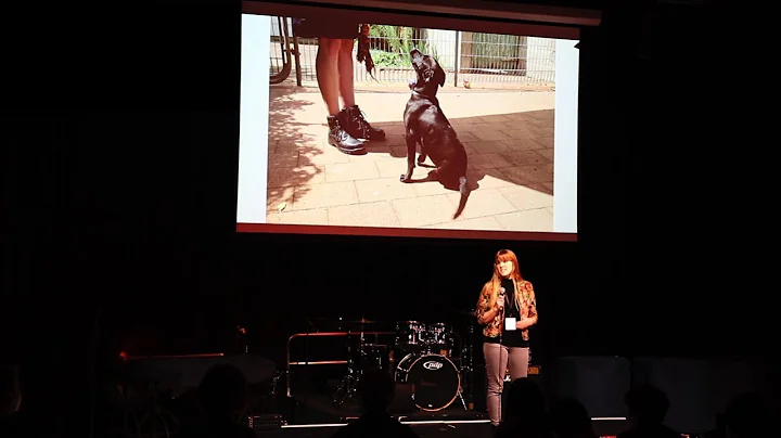 Reimagining Animal Sheltering  | Alison Vaughan | ...