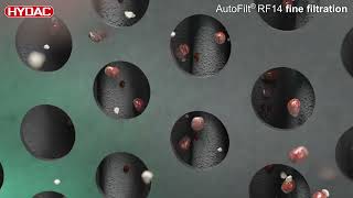 Stop invasive quagga and zebra mussels with HYDAC's cascade filters (AutoFilt®)