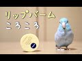 【マメルリハインコ】リップバームころころ。ニベアのディープモイスチャーナイトプロテクトがなぜかお気に入り。