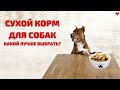 СУХОЙ КОРМ ДЛЯ СОБАК. КАКОЙ ЛУЧШЕ ВЫБРАТЬ?