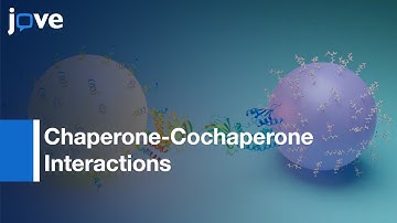 Chaperone-Cochaperone Interactions Study by Homogenous Bead Assay | Protocol Preview