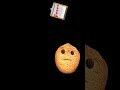 Cookie is dumb