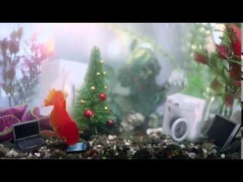 ოქროს თევზი