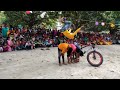 School stunt show part 3  cycle stunt  malda stunt rider