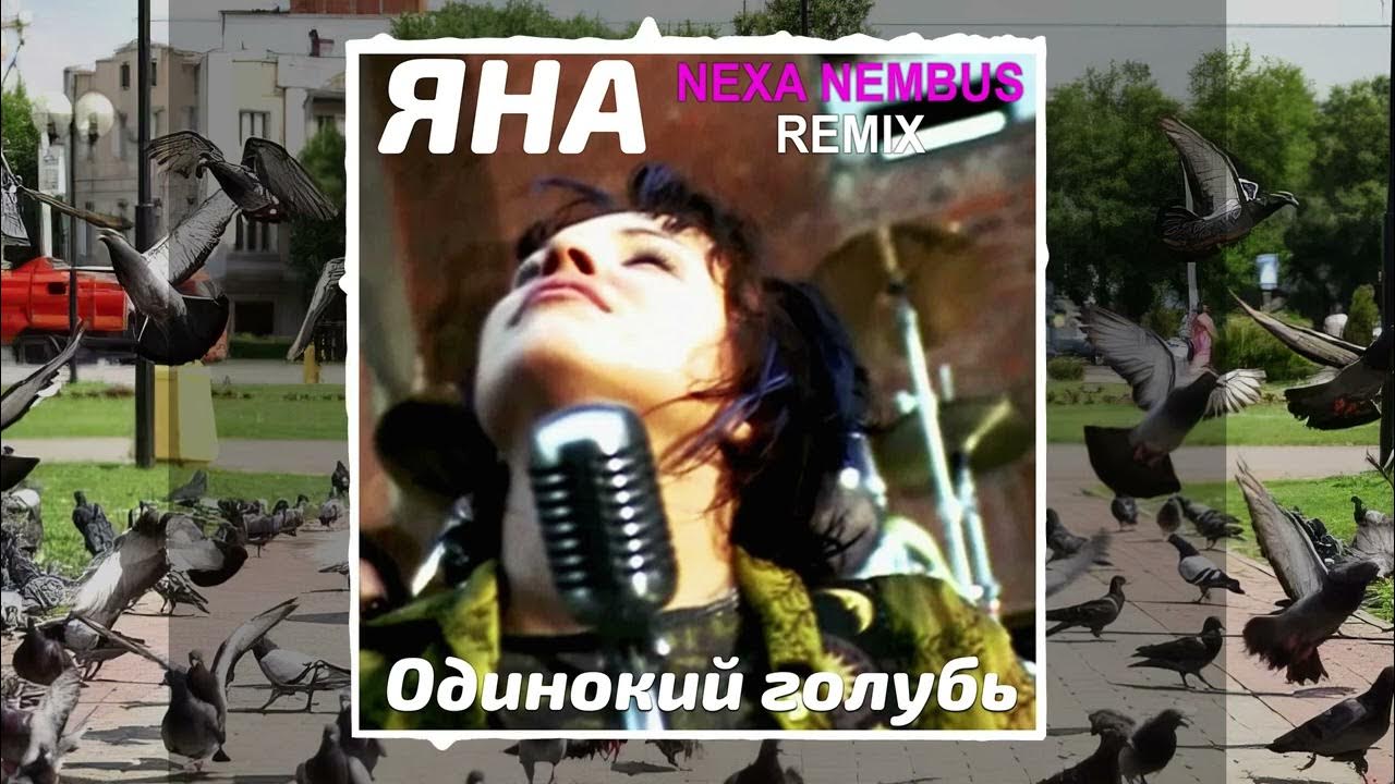 Jlbyjrbq ujke,m yf rfhybpt pf jryjv. Одинокий голубь на карнизе ремикс. Одинокий голубь песня. Одинокий голубь на карнизе ремикс. Одинокий голубь на окне.