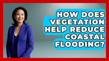How Does Vegetation Help Reduce Coastal Flooding? - Weather Watchdog