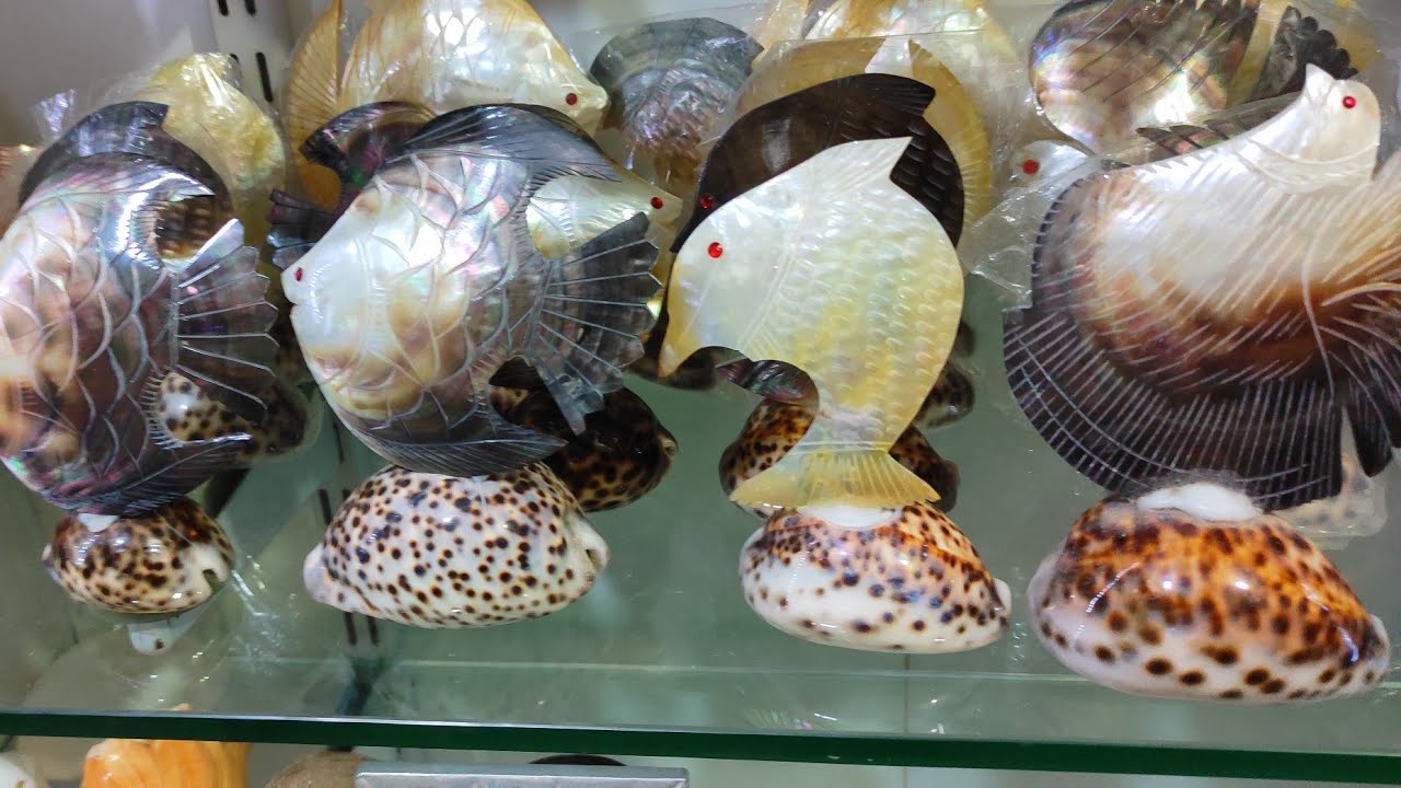 Vera Level Sea Shell Craft Items Huge Collection in One Place