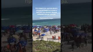 Ограбление Туристов В Бразилии 😳 Подростки Обяистили весь Пляж Опасный Отдых в Бразилии #shorts
