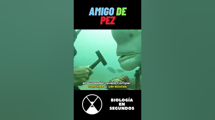 Este HOMBRE es AMIGO de un PEZ #shorts