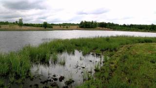 Pond Management