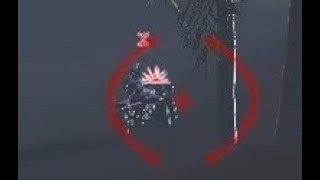 random clips v73