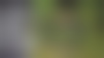 Simple DWC Setup for Mutiple Plants - How to Grow Buds From Home