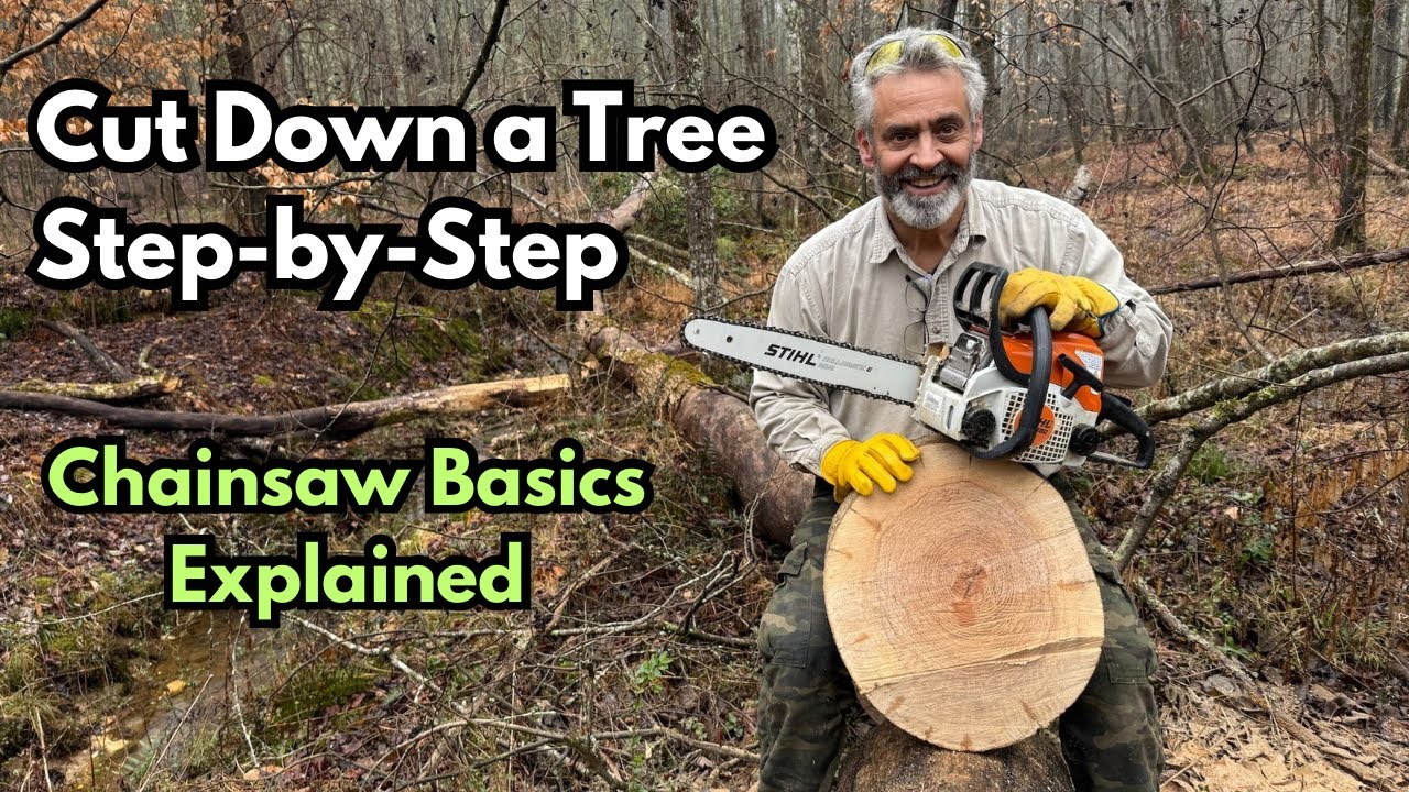 How to Cut Down a Tree with a Chainsaw | Step-by-Step Felling & Cutting ...
