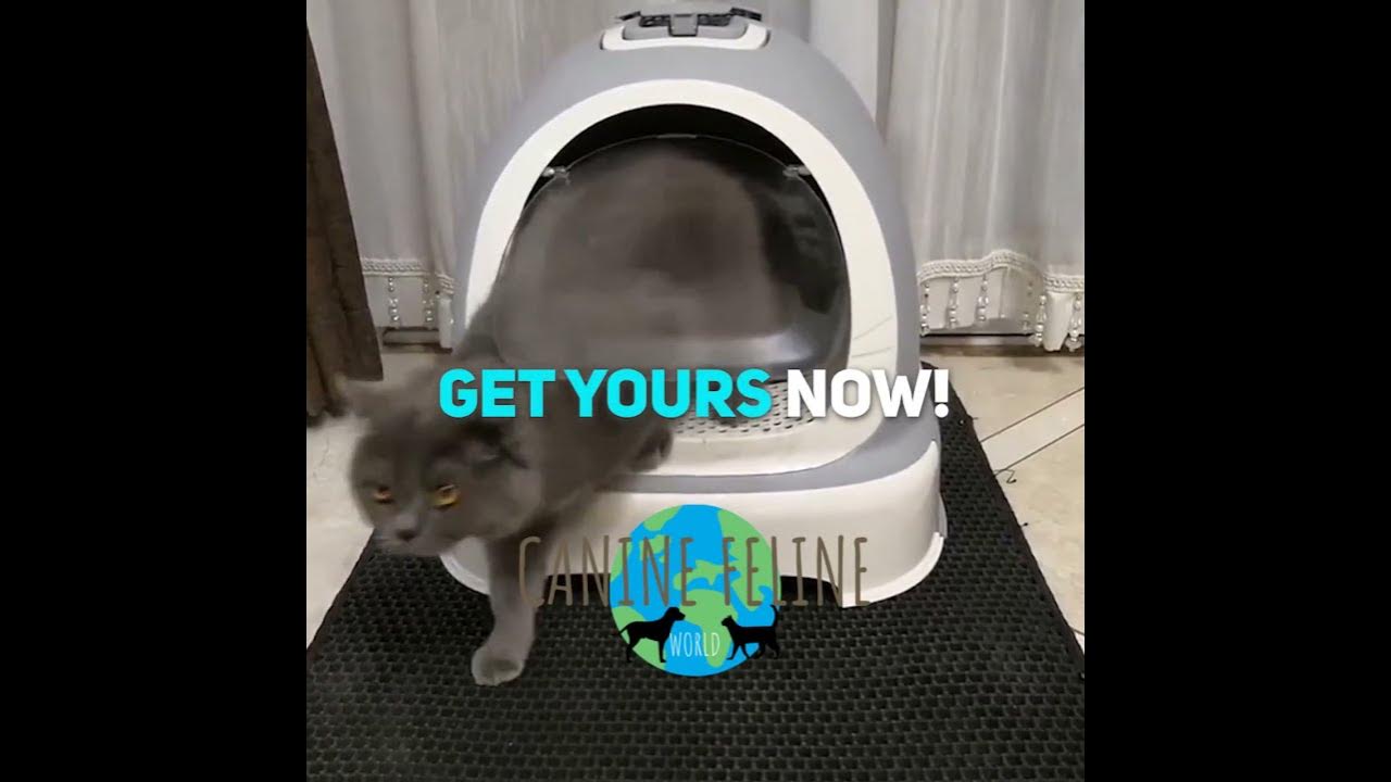 Cat Litter Floor Mat Double Layered Catches Litter And Helps Prevent