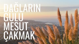 Mesut Çakmak - Dağların Gülü