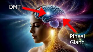 DMT Released by Your PINEAL GLAND in 2 Mins: 'A PSYCHEDELIC MASTERPIECE' • 324Hz