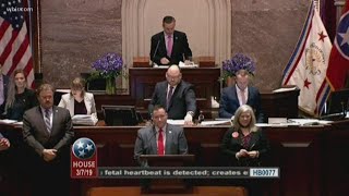 Tennessee House of Representatives passes heartbeat bill with amendments