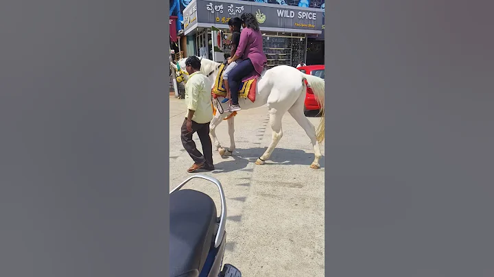 horse riding at dubare elephant 🐘 park♥️#dubareelephantcamp #horseriding #adventure #trending