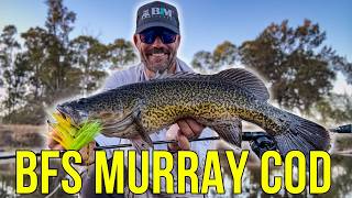 Land Based Murray Cod on BFS Tackle — Testing the New BiM Tackle Cha Cha Bait