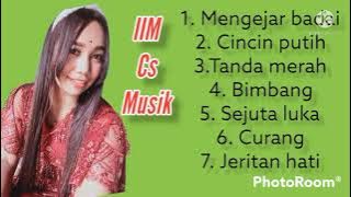 Musik Orgen tunggal IIM cs Musik (Cover) Nur Hanifah & Valent Audio