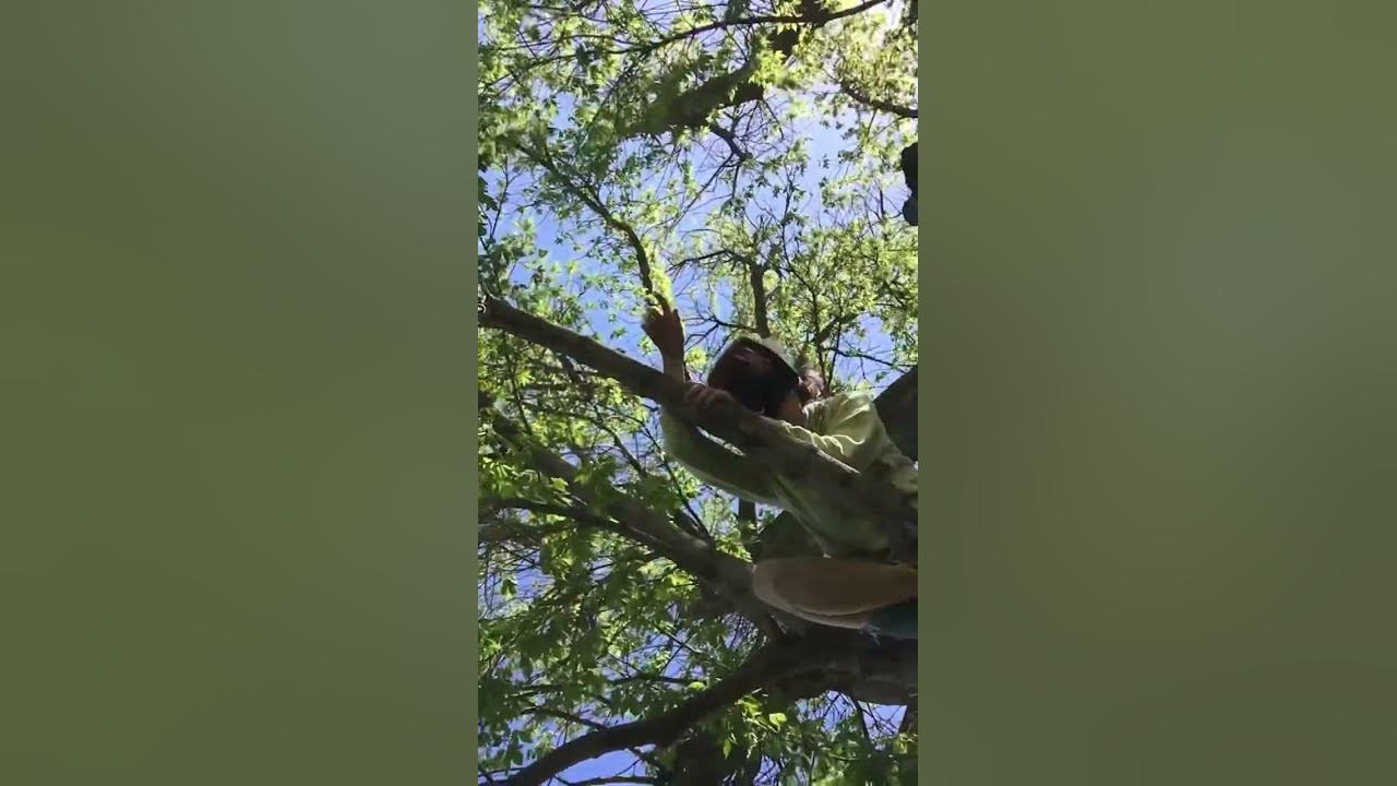 You’ve been spottedOllie🍂🌀 cattherian nature therian therians therianthropy YouTube