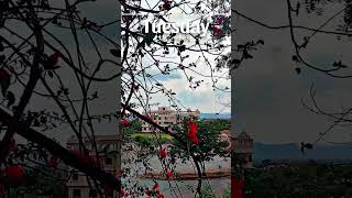 #most #views #sunset #shortvideo #viralvideo #songs #trendingshorts