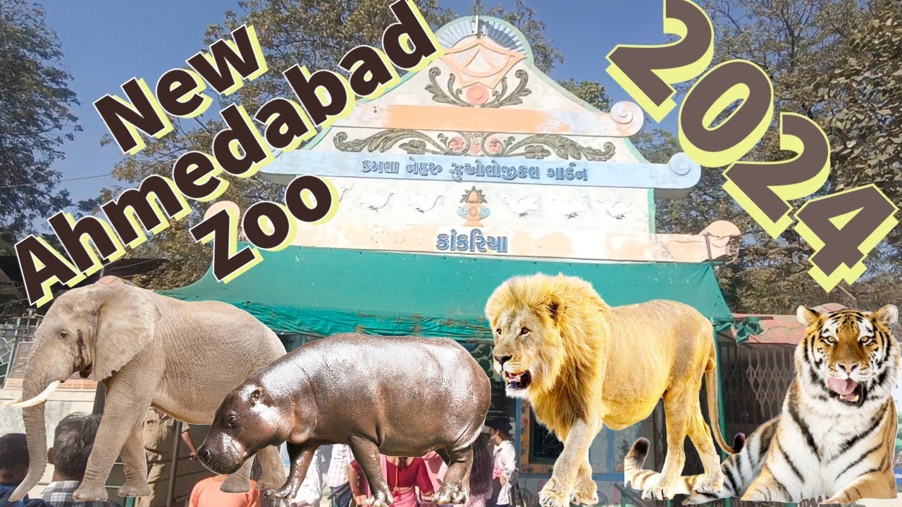 Kankaria Zoo Ahmedabad in 2024 New animals Kamla Nehru चिड़ियाघर