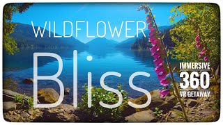 🌼🪻🌼Wildflower Bliss: A VR Hike in Breathtaking Blooms (360° )