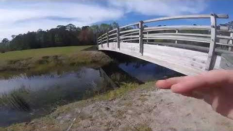 Fishing in Jekyll Island