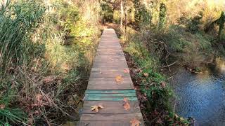 El puente y los dos hermanos (historia corta para reflexionar)