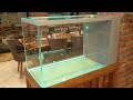 Extra Clear Glass and Color Revel - This Aquarium Has Been A Little Different From Others