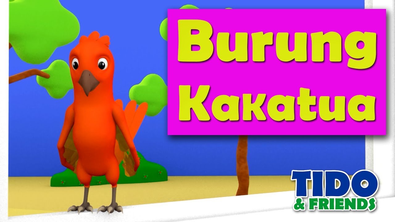Burung Kakatua | Lagu burung kakak Tua | Lagu Anak Terbaru 2021 - YouTube