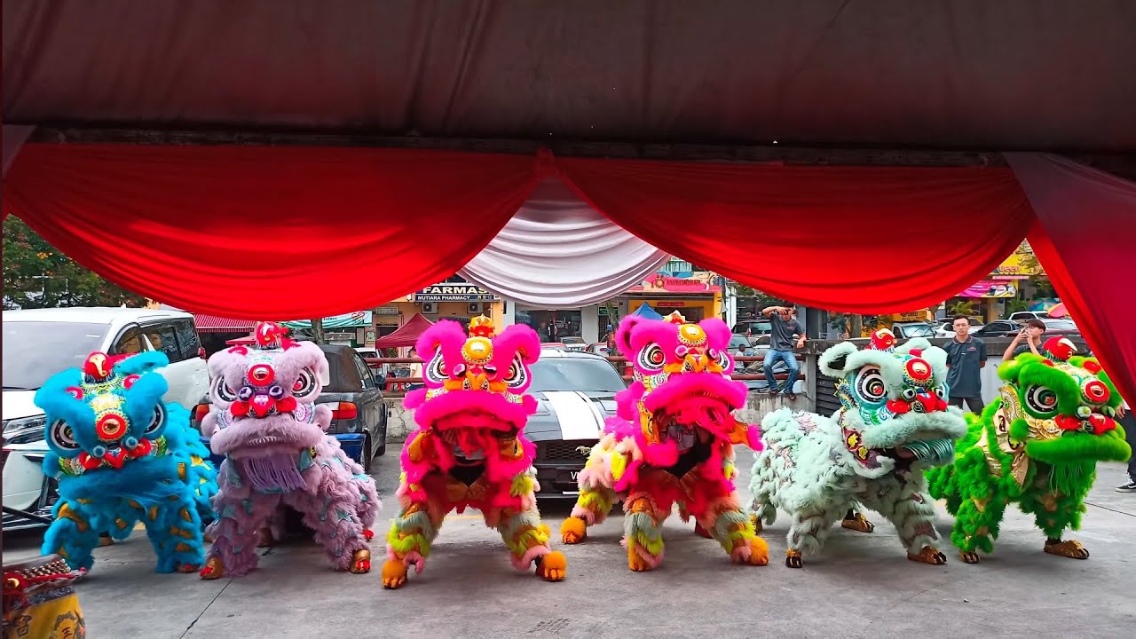 6 Lion Dance Blesses Car Detailing Shop with God of Prosperity