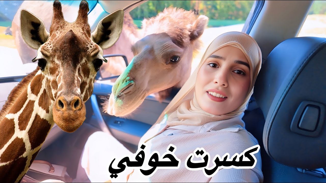 أجمل سفاري في ألمانيا