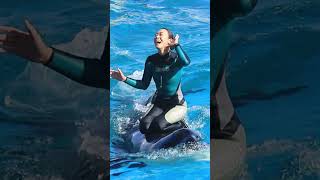 ラビーの歌声可愛すぎ♥ #Shorts #鴨川シーワールド #シャチ #Kamogawaseaworld #Orca #Killerwhale