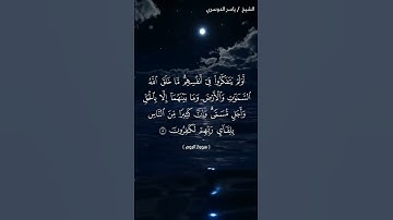 سورة الروم من  آية 8 إلى آية 9 بصوت الشيخ ياسر الدوسري♥♥