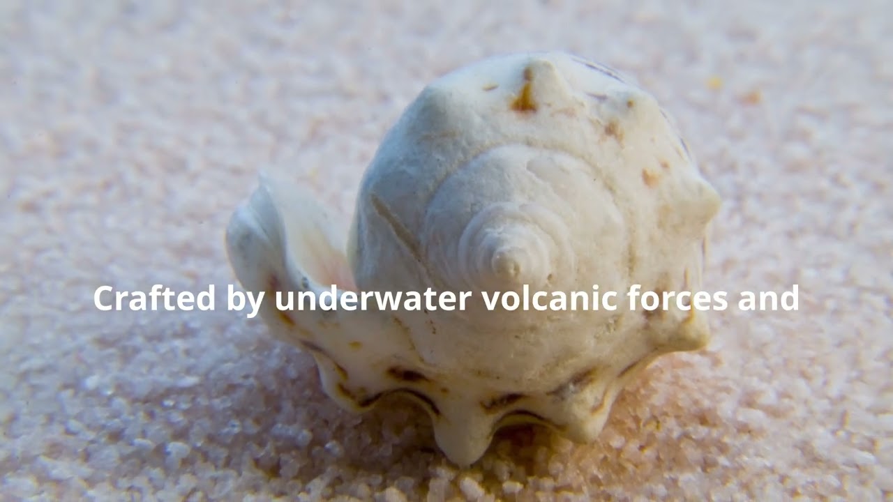 👍❤️"Massive Sea Shell Falls from the Sky in Indonesia"