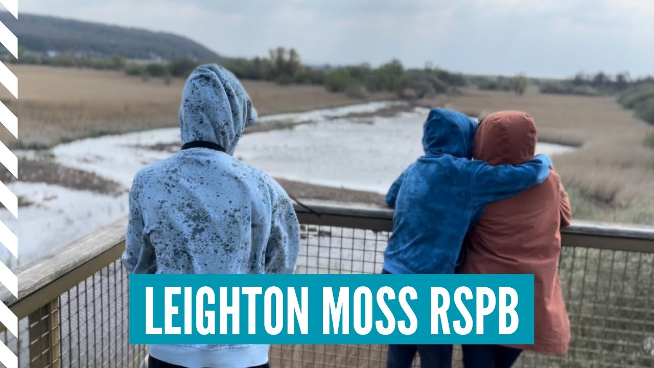 LEIGHTON MOSS RSPB Nature Reserve - Places to Visit in LANCASHIRE | Silverdale and Morecambe Bay