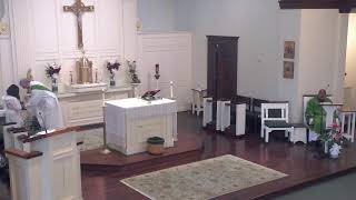 June 13, 2026 - Eleventh Sunday in Ordinary Time - Vigil Mass