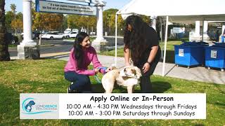 Adopt or Foster a Pet at Long Beach Animal Care Services (LBACS)