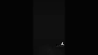 Her Kesin Aradığı O Arap Ca Sarki