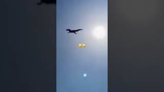 Saw A Flying Crocodile