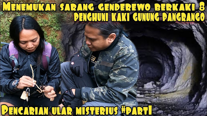 PENCARIAN ULAR MISTERIUS KIPRANALEWU PANJI PETUALANG DEDE INOEN