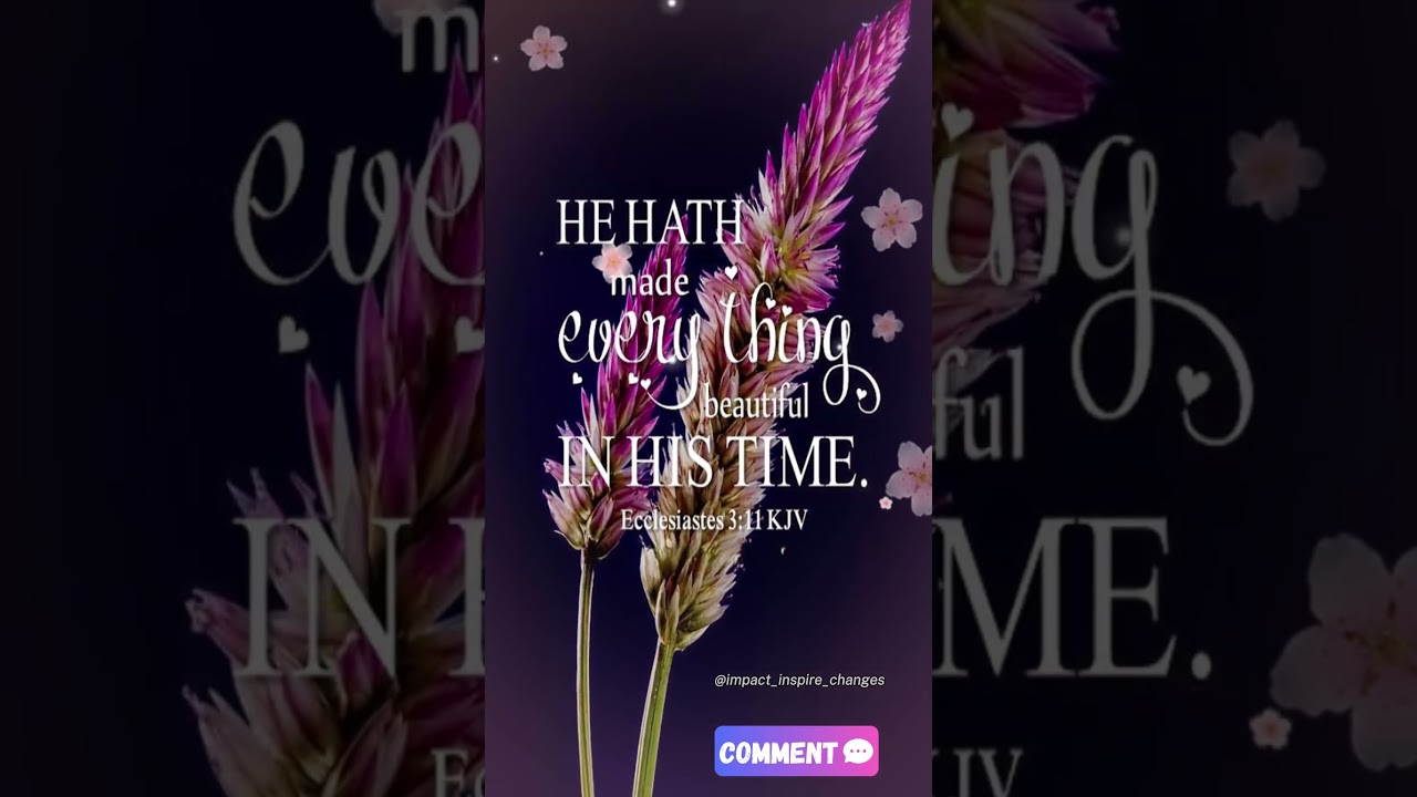 Beautiful in His time_  