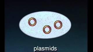 Breaking the Code pt1