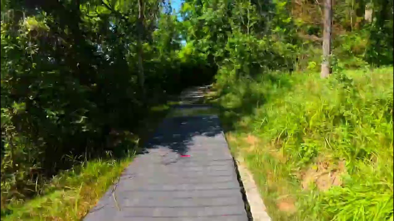 Time-Shifted Run / July 1, 2025