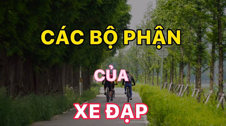 Bộ phận đạp số của xe máy gọi là gì năm 2024