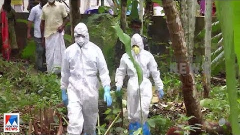 നിപയുടെ ഉറവിടം കണ്ടെത്താന്‍ ഊര്‍ജിത ശ്രമം; കൂടുതല്‍ ഫലം ഇന്നറിയാം |Nipah